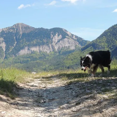 Le Colombier Bed & Breakfast Glandage