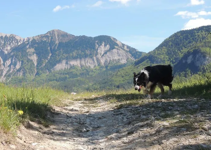 Le Colombier Bed & Breakfast Glandage